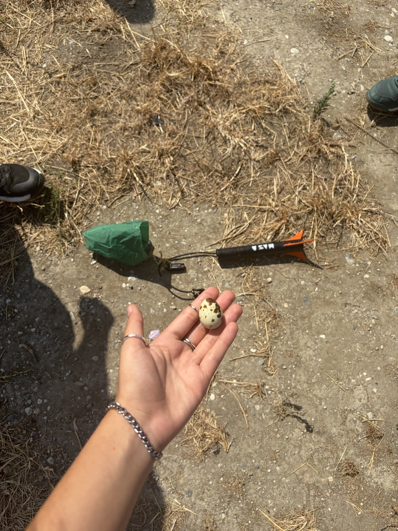 The intact quail egg after the flight